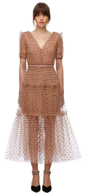 Bonus Savings Dot Mesh Midi Dress