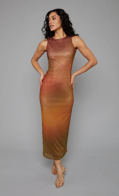 Last Chance Rust Mesh Blur Maxi Dress