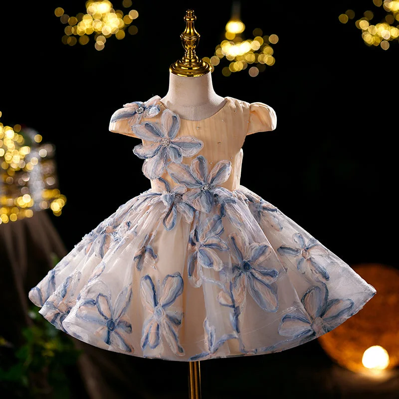 Special Discount Baby Girl Dream Flower GirlMesh Appliquéd Princess Puffy Dress