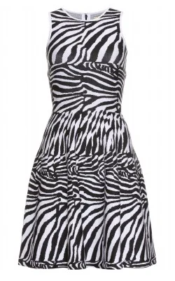 Blowout Deals Zebra Knit Dress