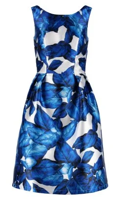 Deal Zone Blue White Flower Dress