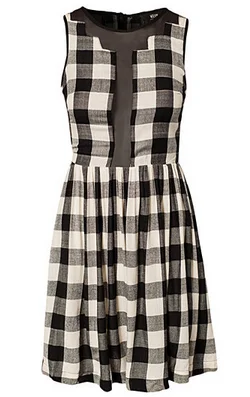 Steals and Deals Spector Check Dress