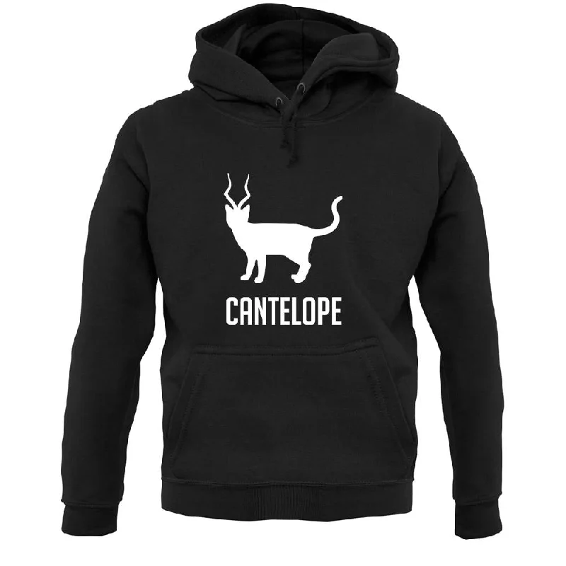 Flash Sale Cantelope Unisex Hoodie